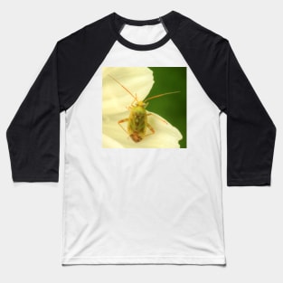 Cute Bug on Green & White Baseball T-Shirt